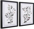 Framed Floral Botanical Leaf Wall Art Set