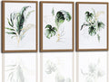 Framed Botanical Canvas Wall Art Prints