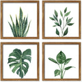 Walnut‑Framed Sage Botanical Wall Art Set