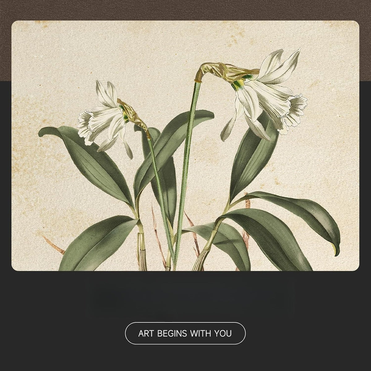 Farmhouse Vintage Floral Botanical Wall Art Set
